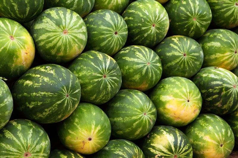 Fresh Organic Vegetables